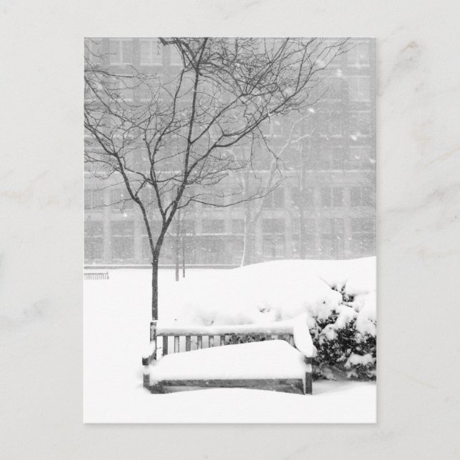Snowscene III, Philadelphia Postcard (Front)