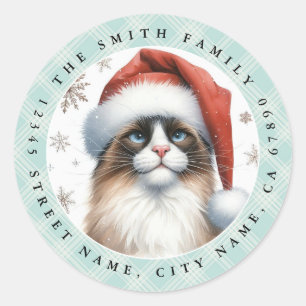 Snowshoe Cat Round Stickers