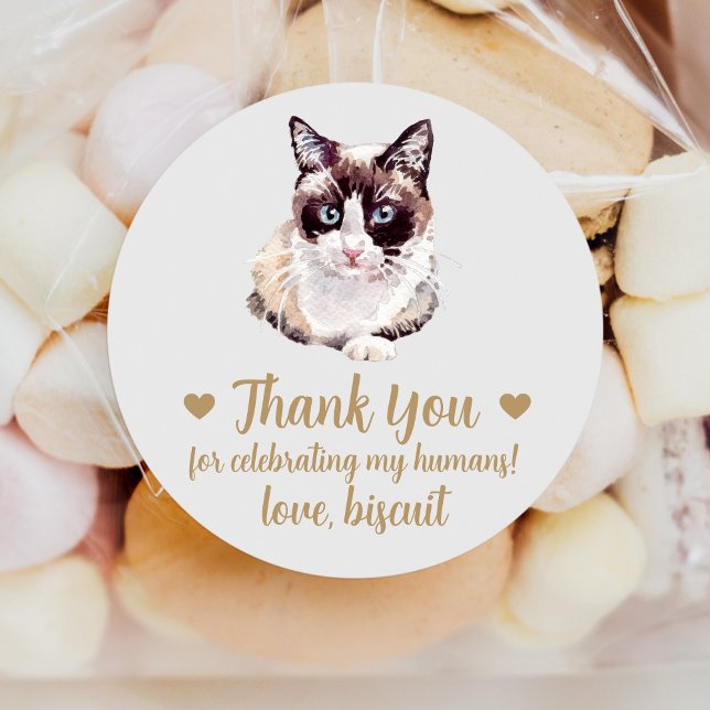 Snowshoe Cat Wedding Favour Stickers (Creator Uploaded)