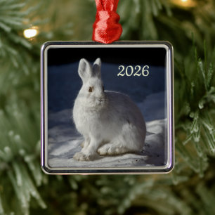 Snowshoe Hare, Denali National Park, Alaska Metal Tree Decoration