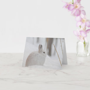 Snowshoe Hare in Snow Card