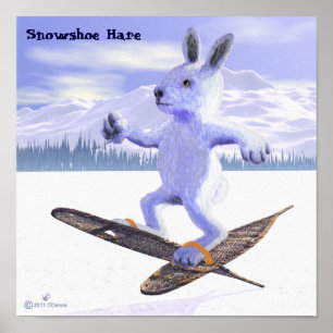 Snowshoe Hare Poster
