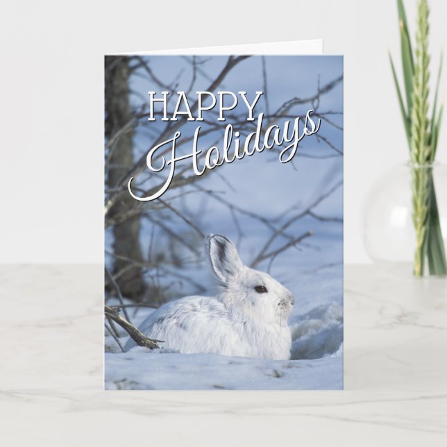 Snowshoe Hare Resting in Snow Holiday Card (Front)