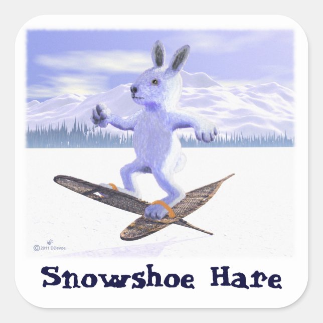 Snowshoe Hare Square Sticker (Front)