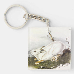 Snowshoe Hare, winter (Northern Hare) by Audubon Key Ring
