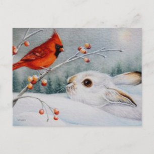Snowshoe Rabbit & Red Cardinal Bird Watercolor Art Postcard