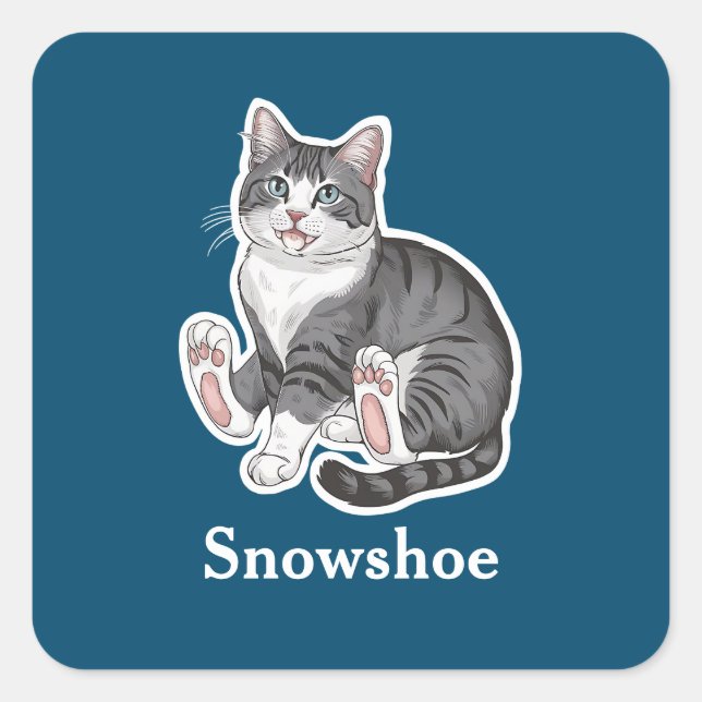 Snowshoe Square Sticker (Front)