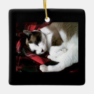 snowshoe tartan kitty ceramic tree decoration