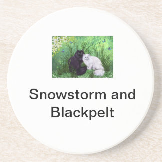 Snowstorm and Blackpelt Coaster