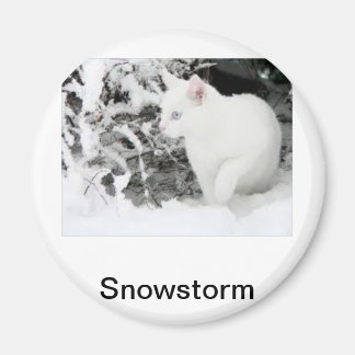 Snowstorm Magnet