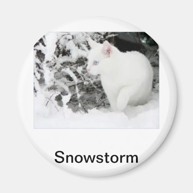 Snowstorm Magnet (Front)