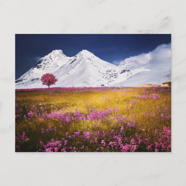 Snowy Alps Postcard (Front)