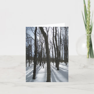 Snowy Aspens Note Card