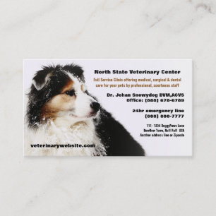 Snowy Australian Shepherd Veterinarian Vet Clinic Business Card