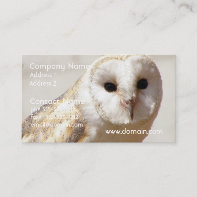 Snowy Barn Owl  Business Cards (Front)