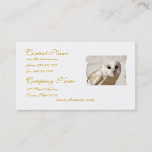 Snowy Barn Owl  Business Cards