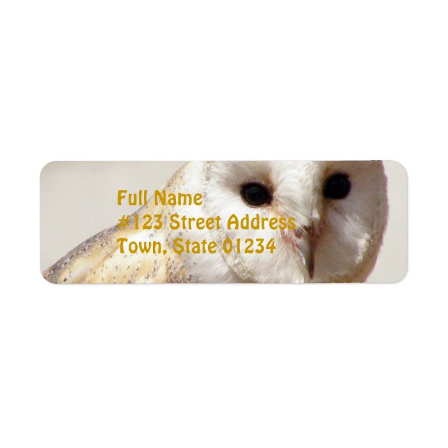Snowy Barn Owl Mailing Labels (Front)