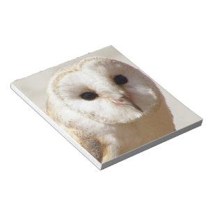 Snowy Barn Owl  Notepad