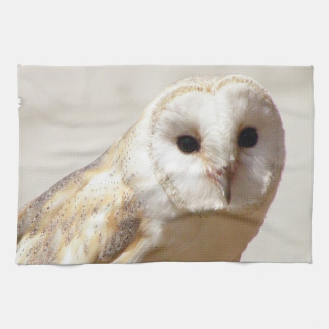 Snowy Barn Owl  Towel (Horizontal)