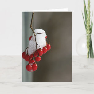 Snowy berries card