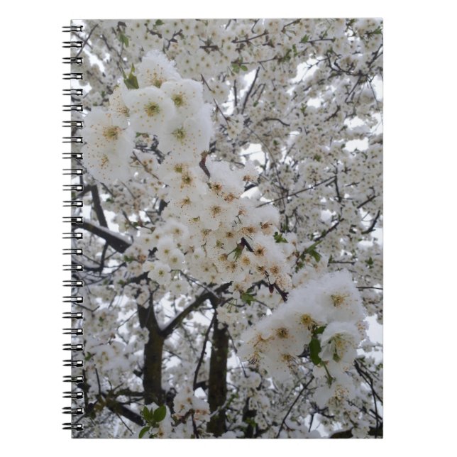 Snowy blossoms notebook (Front)