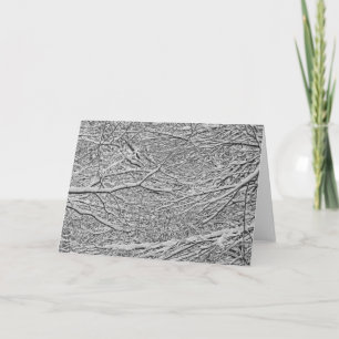 Snowy Branches Greeting Card