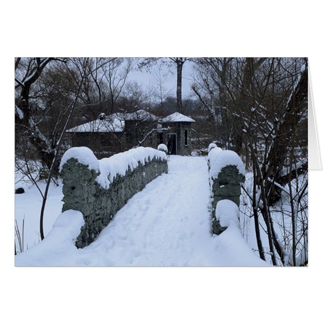 Snowy Bridge (Front Horizontal)