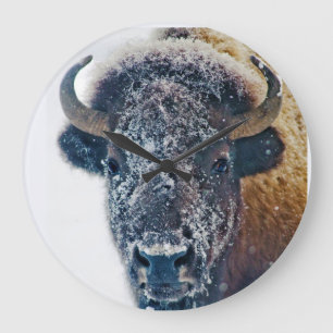 Snowy Buffalo Wall Clock