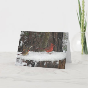 Snowy Cardinals and Towhee Holiday Card