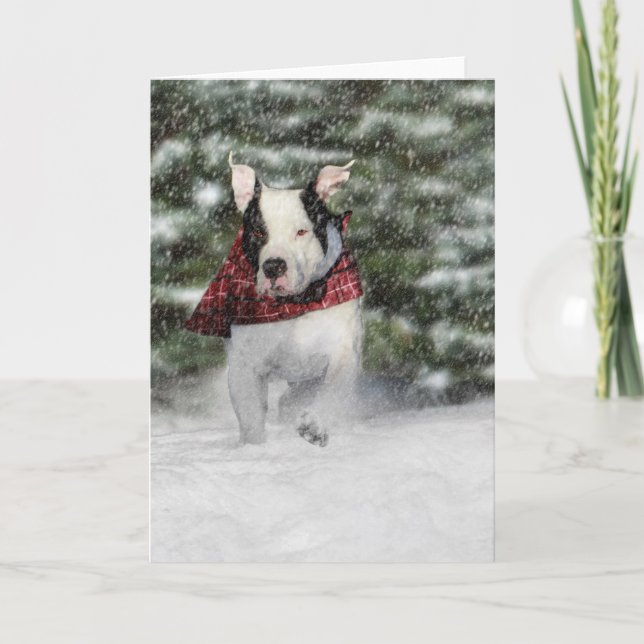 Snowy Christmas Holiday Greeting for Dog Lover Card (Front)