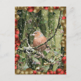 Snowy Christmas Holiday Postcard
