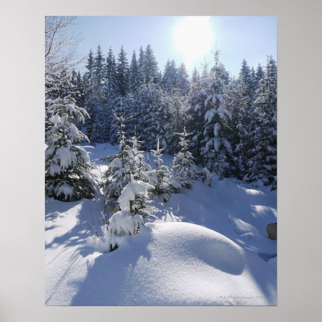 Snowy cold winter landscape 2 poster (Front)
