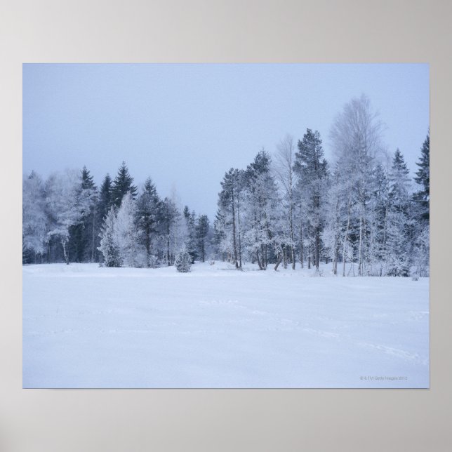 Snowy cold winter landscape 8 poster (Front)
