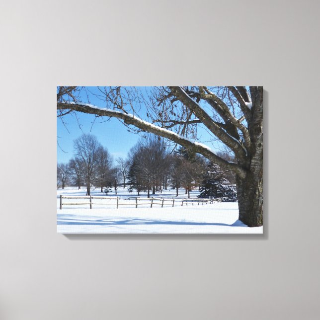 Snowy Day Canvas Print (Front)