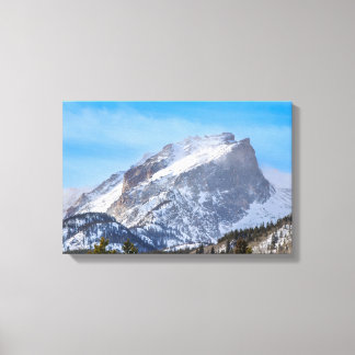 Snowy Day Canvas Print