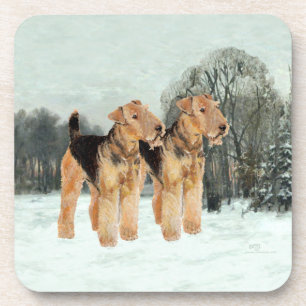 Snowy Day Coaster