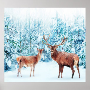Snowy Deer Family Winter Scene Poster