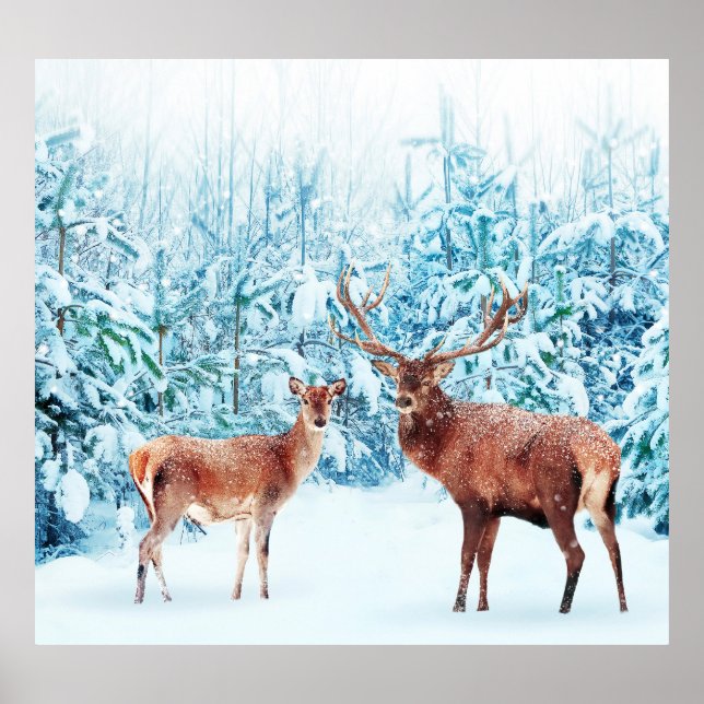 Snowy Deer Family Winter Scene Poster (Front)