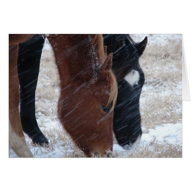 Snowy Eats, Birthday (Front Horizontal)