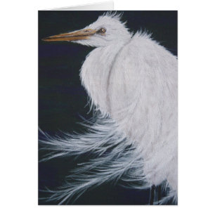 Snowy Egret