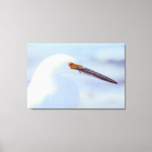 Snowy Egret Canvas Print
