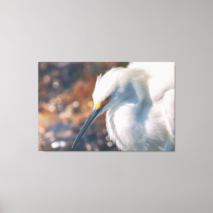 Snowy Egret Canvas Print