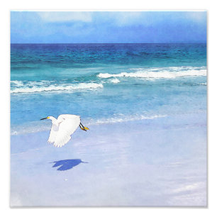 Snowy Egret Coastal Watercolor Photo Print