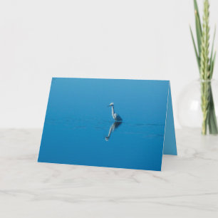 Snowy Egret Greeting Card