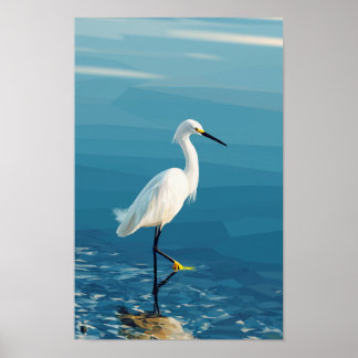 Snowy egret in a lake poster
