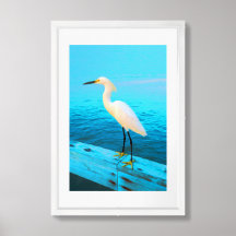 Snowy Egret in Blue