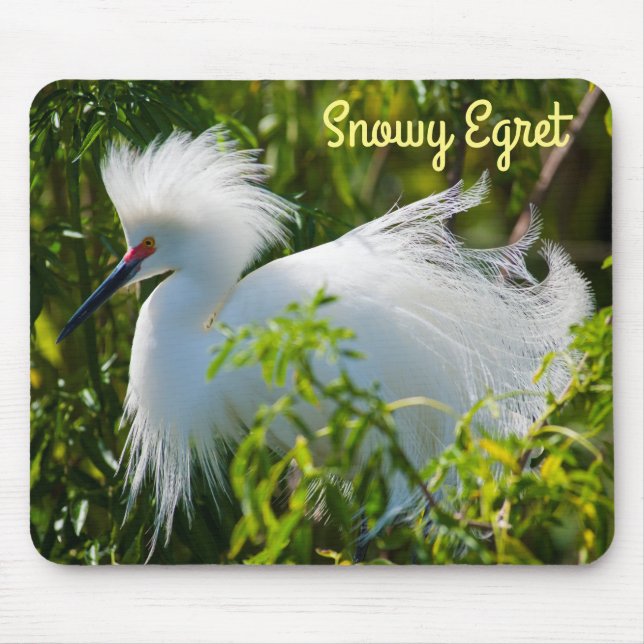 Snowy Egret Mouse Mat (Front)