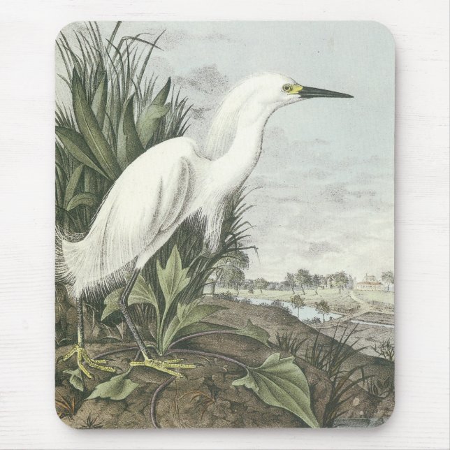 Snowy Egret Mouse Mat (Front)