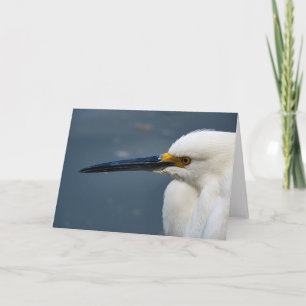 Snowy Egret Notecard
