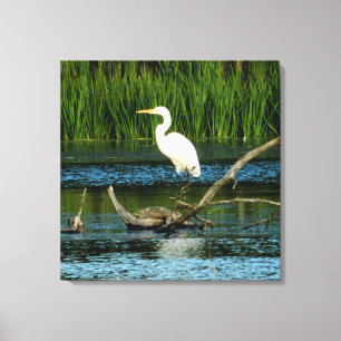 Snowy Egret on Log Canvas Print